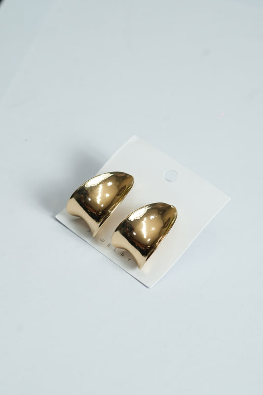 Top-Notch Trendy Earrings